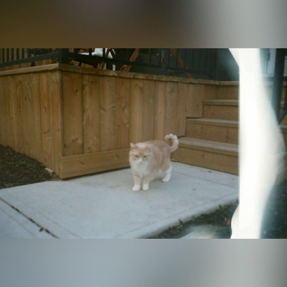 Read Description: Olympus Mju:II - Picture 15 of 15